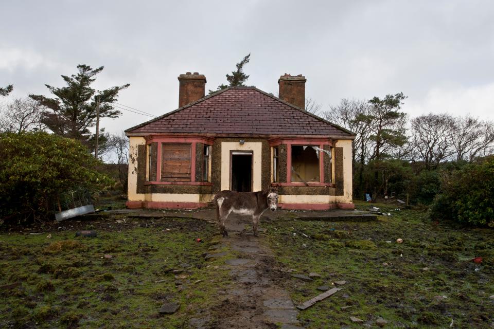 Damaged, boarded-up house exterior that needs major repairs